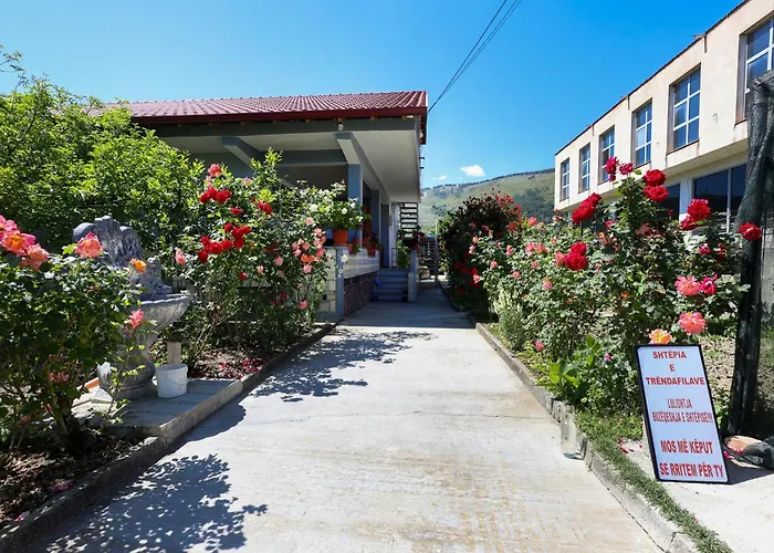 Samuela Cozy Retreat